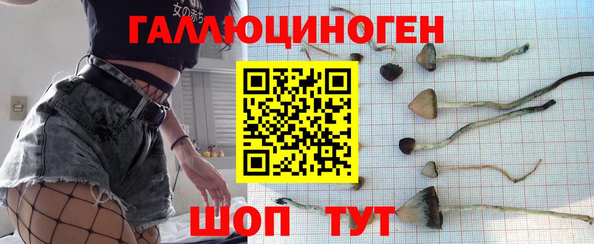 Галлюциногенные грибы Psilocybine cubensis Александров