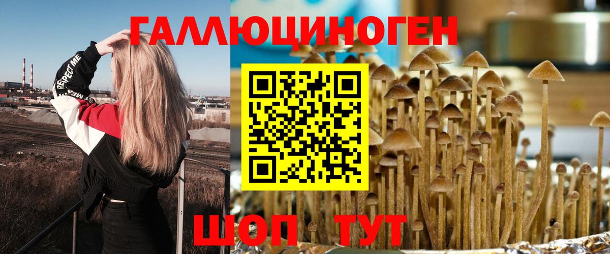 Александров  Галлюциногенные грибы прущие грибы  Вход с VPN 