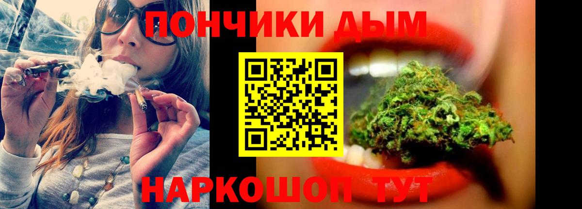Конопля гибрид Александров